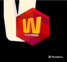 Wumpini News logo